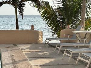 a group of chairs and tables on the beach at A la Orilla del mar Puerto Juarez Cancun in Cancún