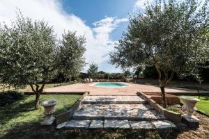 a swimming pool in a garden with two trees at Tenuta Torre di Pian Castagno in Sutri