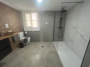 a bathroom with a shower and a toilet at LM apartamentos Alfacar in Alfacar +27 photos