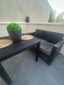 a black couch and a table with a potted plant at LM apartamentos Alfacar in Alfacar