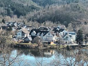 a group of houses on a hill next to a river at Fabians Ferienhaus - 4 besondere Ferienwohnungen in Simmerath
