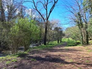 a path through a park with trees and a river at Studio côté jardin in Maureillas