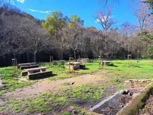 a group of picnic tables in a field at Studio côté jardin in Maureillas +3 photos