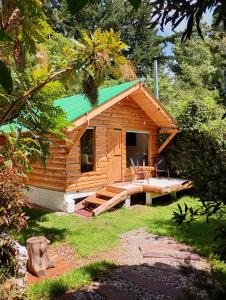 拉卡莱拉Chalet el Pinar的庭院中带绿色屋顶的小木屋