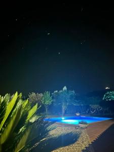 Una vista nocturna de una piscina con luces azules. en Casa da Cesta, en Celorico de Basto