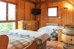 a bedroom with two beds and a tv and windows at La Grange des Mios in La Bresse