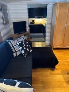 TV a/nebo společenská místnost v ubytování Harju-Hill Villa + 22 fotografií