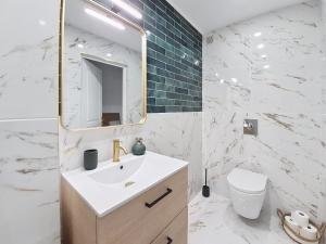 a bathroom with a sink and a mirror and a toilet at Bleu de Juan in Antibes +4 photos
