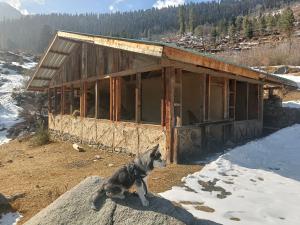 Üldine mäevaade või majutusasutusest Trimounts-A Boutique Hotel & Wellnes Center in Tirthan Valley pildistatud vaade