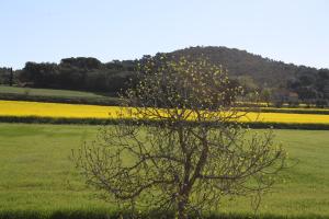 Naturlandschaft in der Nähe of country house