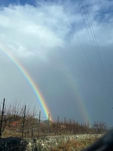 Gallery image of Il Giardino di Efesto in Biancavilla