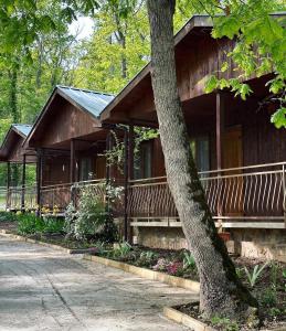a wooden house with a tree in front of it at Sirena Holiday Park in Kamchia
