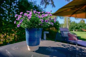 Zahrada ubytování Pixel b&b