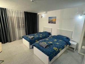 a bedroom with two beds and a window at Casa Stefan in Piteşti