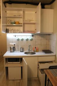 Kuchyň nebo kuchyňský kout v ubytování Your Cozy Apartment in New Gudauri, Loft 2 #432