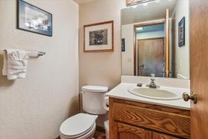 a bathroom with a toilet and a sink and a mirror at Minutes From Heavenly Valley Lake Tahoe Beaches in South Lake Tahoe +21 photos