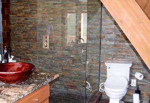a bathroom with a toilet and a glass shower at Beautiful Views Of Mt Quandary Off Private Balcony in Breckenridge +13 photos