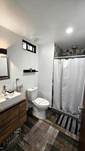 a bathroom with a toilet and a sink and a shower at A29 SUITE BLACK MAX para 1 a 4 personas Modernas Suites en Casona Acequia - Confort y Estilo en Cuautitlán Izcalli" in Cuautitlán Izcalli