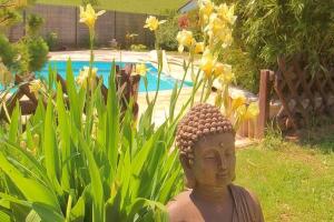 Bazén v ubytování La Belle Étape, Appartement avec Piscine et Spa nebo v jeho okolí + 12 fotografií