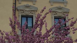 Fotografie z fotogalerie ubytování Hotel La Nuova Rotaia v destinaci Gallarate