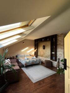 O zonă de relaxare la Duna - Panonia Apartments