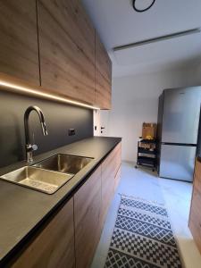 una cocina con fregadero y refrigerador en Botanica House Krk, en Njivice