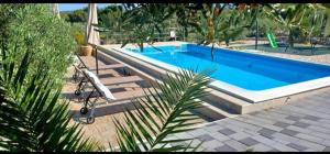 a swimming pool with a bench and a palm tree at Apartmani AS in Jezera