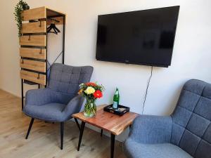 a living room with two chairs and a table with a tv at Hogulu - klein und fein in der Altstadt, Appartement 10 in Brandenburg an der Havel
