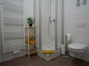 een badkamer met douche en toilet bij Hogulu - STILVOLL UND ZENTRAL - 3-RAUM Appartement 1 in Brandenburg an der Havel
