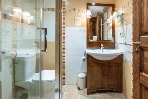 a bathroom with a toilet and a sink and a shower at House Marica in Šmartno