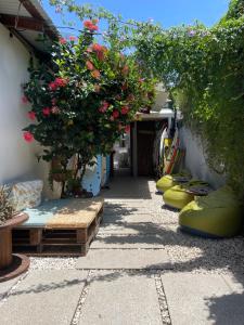 a walkway with a bunch of flowers and plants at The Cafecito Surfhouse - Santa Teresa in Santa Teresa Beach