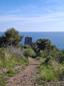 Gallery image of Villa Giusy in Marina di Camerota +47 photos