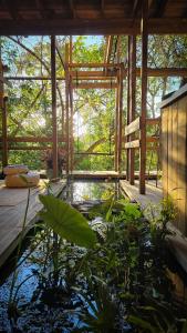 Zahrada ubytování Konokora Ecolodge