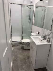 Un baño con ducha, inodoro y lavabo. en Springbank Apartment, en Aberdeen