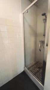 une douche avec une porte vitrée dans une salle de bain dans l'établissement Le Distingué Central - Gare, à Mâcon