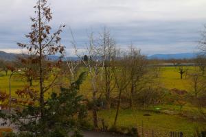 vista su un campo alberato e su una recinzione di Ferienwohnung Bella Vista a Eimeldingen Altre 2 foto