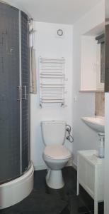 un bagno con wc, doccia e lavandino di 'PRZY PARKU' pokoje gościnne u zielarki a Stegna Altre 43 foto