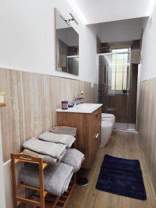 a bathroom with a sink and a toilet at Maria Grazia's House in Ercolano