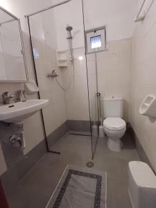 a bathroom with a shower and a toilet and a sink at Kalimera apartments in Marathias
