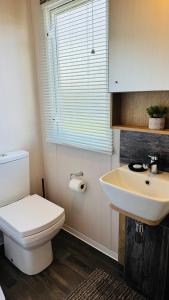 a bathroom with a white toilet and a sink at Luxury 8 Berth Caravan At Butlins Skegness in Skegness