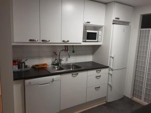 Η κουζίνα ή μικρή κουζίνα στο Apartement kivisto