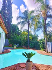 Bazén v ubytování Mediterranean Palms nebo v jeho okolí