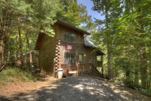 a log cabin in the middle of the forest at All Aboard - Log Cabin, Game Room, Hot Tub, Lake View, Private Dock - Blue Ridge, GA in Blue Ridge