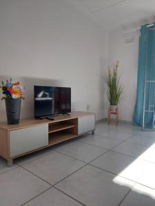 TV a/nebo společenská místnost v ubytování Morning View Apartment - Self Catering Private owned