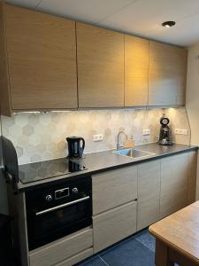 a kitchen with a sink and a stove and cabinets at 't Schoenmakershuisje in Epen +15 photos
