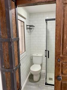 ein Badezimmer mit Toilette und Glastür in der Unterkunft Santander industrial apartment in Santander