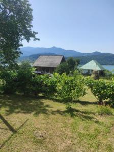 a garden with trees and a barn in the background at Complex de pensiuni si casute -Hangu , Bicaz in Buhalniţa +6 photos