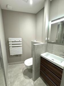 a bathroom with a toilet and a sink at Appartement agréable proche gare in Vienne