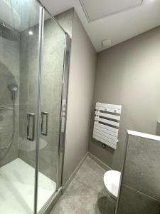 a bathroom with a shower and a toilet at Appartement agréable proche gare in Vienne