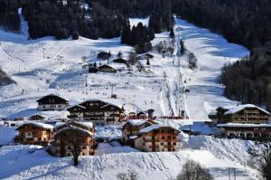 Obiekt Les Chalets Des Evettes - Agréable appartement au pied des pistes MAE-1724 zimą